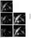 Fig. 49 - Peptidic self-assembly for nucleic acid delivery