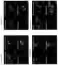 Fig. 59 - Peptidic self-assembly for nucleic acid delivery