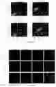 Fig. 67 - Peptidic self-assembly for nucleic acid delivery