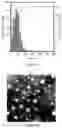 Fig. 68 - Peptidic self-assembly for nucleic acid delivery
