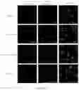 Fig. 70 - Peptidic self-assembly for nucleic acid delivery