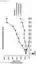 Fig. 12 - Compounds comprising self-immolative group
