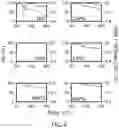Fig. 08 - PHOSPHATE FUNCTIONALIZED GRAPHENE OXIDE BASED BONE SCAFFOLDS