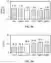 Fig. 12 - PHOSPHATE FUNCTIONALIZED GRAPHENE OXIDE BASED BONE SCAFFOLDS