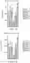 Fig. 15 - PHOSPHATE FUNCTIONALIZED GRAPHENE OXIDE BASED BONE SCAFFOLDS
