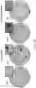 Fig. 23 - PHOSPHATE FUNCTIONALIZED GRAPHENE OXIDE BASED BONE SCAFFOLDS