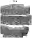 Fig. 07 - Cartilage regenerative material