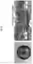 Fig. 09 - Cartilage regenerative material