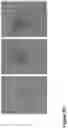 Fig. 13 - Nanofiber-hydrogel composites for enhanced soft tissue replacement and regeneration