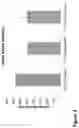 Fig. 17 - Nanofiber-hydrogel composites for enhanced soft tissue replacement and regeneration