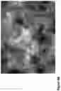 Fig. 33 - Nanofiber-hydrogel composites for enhanced soft tissue replacement and regeneration