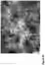 Fig. 34 - Nanofiber-hydrogel composites for enhanced soft tissue replacement and regeneration