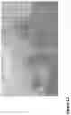 Fig. 44 - Nanofiber-hydrogel composites for enhanced soft tissue replacement and regeneration