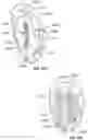 Fig. 18 - System of medical indicators having multisensory, multipurpose and multifunctional features