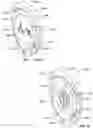 Fig. 20 - System of medical indicators having multisensory, multipurpose and multifunctional features