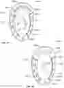 Fig. 25 - System of medical indicators having multisensory, multipurpose and multifunctional features