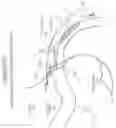 Fig. 11 - Devices and methods for modulating medium delivery