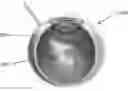 Fig. 01 - System and method for resistance-dependent, self-regulated medical penetration