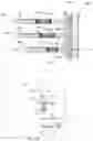 Fig. 13 - System and method for resistance-dependent, self-regulated medical penetration
