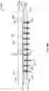 Fig. 20 - Attachment band for a fluid delivery apparatus and method of use