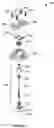 Fig. 25 - Attachment band for a fluid delivery apparatus and method of use