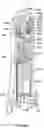 Fig. 44 - Attachment band for a fluid delivery apparatus and method of use