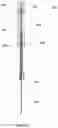 Fig. 13 - Percutaneous dilation tracheostomy device and method of using