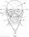 Fig. 04 - IMPROVEMENTS FOR RESPIRATORY MASKS