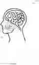 Fig. 05 - PINEAL GLAND STIMULATION SYSTEM AND METHOD