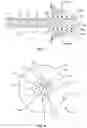 Fig. 07 - Devices for delivering a chemical denervation agent and methods of use