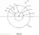 Fig. 12 - Devices for delivering a chemical denervation agent and methods of use