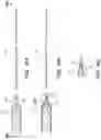 Fig. 29 - Catheter systems and methods for medical procedures using catheters