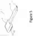 Fig. 06 - Physical therapy device for pets