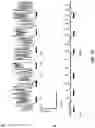 Fig. 11 - Peripheral neuromodulation to treat bladder and bowel dysfunction
