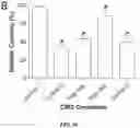 Fig. 26 - Peripheral neuromodulation to treat bladder and bowel dysfunction