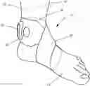 Fig. 01 - System, method, and apparatus for applying transcutaneous electrical stimulation