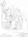 Fig. 05 - ADAPTIVE VFA CARDIAC THERAPY