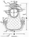 Fig. 04 - FIREFIGHTER HOOD