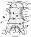 Fig. 05 - FIREFIGHTER HOOD