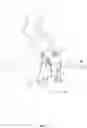 Fig. 07 - Portable fire extinguisher adapted for persons with disabilities