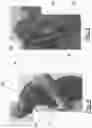 Fig. 08 - Portable Exercise Device