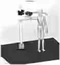 Fig. 40 - DEVICES AND METHODS FOR EXERCISE OR ANALYSIS OF THE NECK REGION