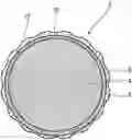 Fig. 01 - GOLF BALL