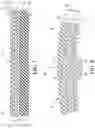 Fig. 07 - Sports ball