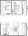 Fig. 08 - Sports throwing motion training device