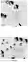 Fig. 07 - APPARATUS AND METHODS FOR HUMAN-MACHINE INTERACTION