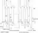 Fig. 01 - Device for multistage continuous preparation of deuterium depleted water