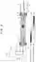 Fig. 03 - Protein crystallization method and crystallization device