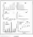 Fig. 04 - Process for COcapture from gaseous streams