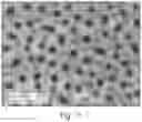 Fig. 12 - APPARATUS AND METHOD FOR THREE-DIMENSIONAL PHOTO-ELECTRODIALYSIS